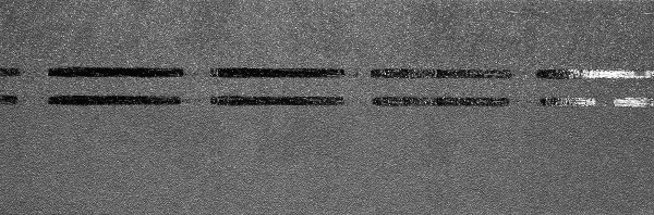 Коньково-карнизная черепица Docke Premium, черника купить в Супсехе