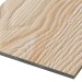 Фиброцементные панели FCSPRO Decor Wood Лиственница купить в Супсехе